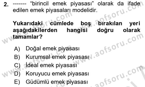 İstihdam ve İşsizlik Dersi 2022 - 2023 Yılı Yaz Okulu Sınav Soruları 2. Soru