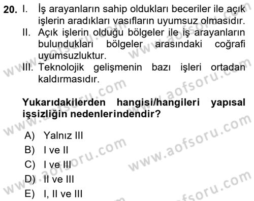 İstihdam ve İşsizlik Dersi 2022 - 2023 Yılı Yaz Okulu Sınav Soruları 20. Soru