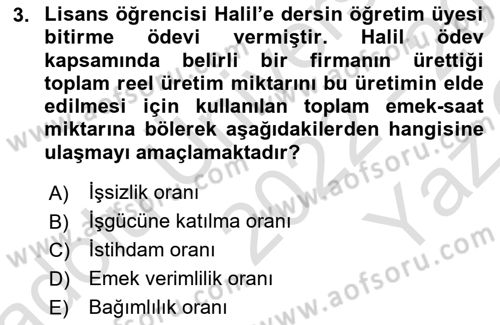 İstihdam ve İşsizlik Dersi 2022 - 2023 Yılı Yaz Okulu Sınav Soruları 3. Soru