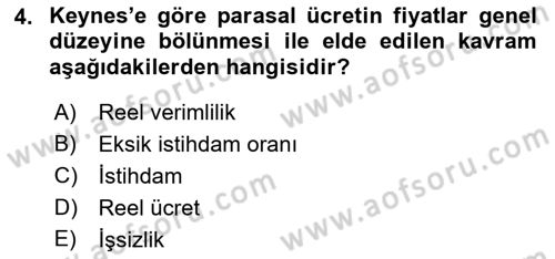 İstihdam ve İşsizlik Dersi 2022 - 2023 Yılı Yaz Okulu Sınav Soruları 4. Soru
