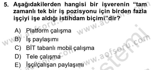 İstihdam ve İşsizlik Dersi 2022 - 2023 Yılı Yaz Okulu Sınav Soruları 5. Soru