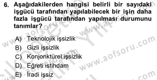 İstihdam ve İşsizlik Dersi 2022 - 2023 Yılı Yaz Okulu Sınav Soruları 6. Soru