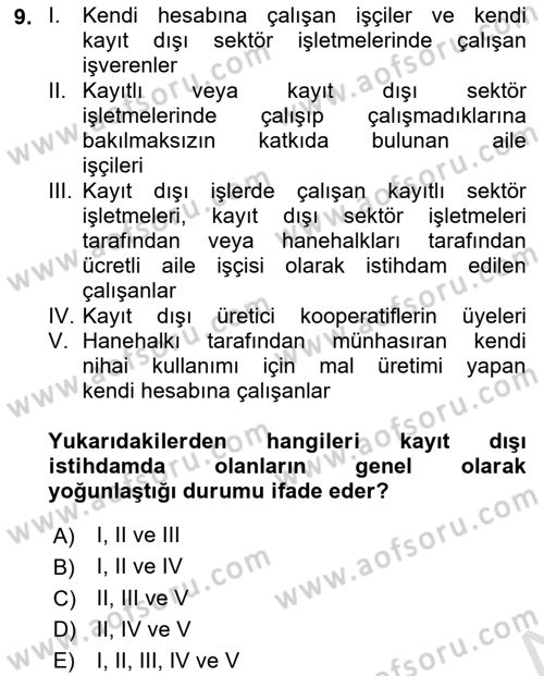 İstihdam ve İşsizlik Dersi 2022 - 2023 Yılı Yaz Okulu Sınav Soruları 9. Soru
