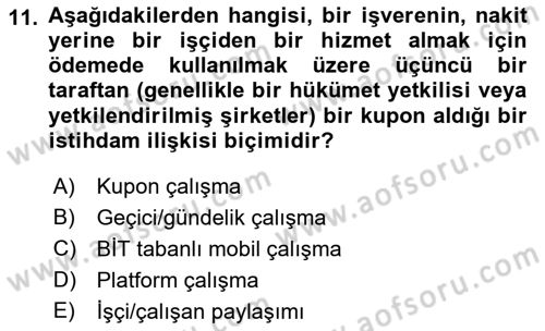İstihdam ve İşsizlik Dersi Ara Sınavı Deneme Sınav Soruları 11. Soru
