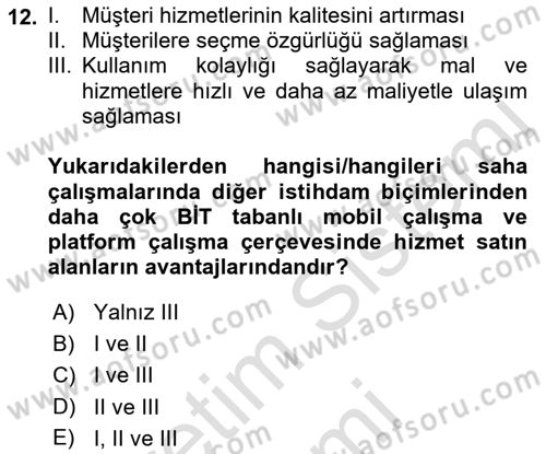 İstihdam ve İşsizlik Dersi Ara Sınavı Deneme Sınav Soruları 12. Soru