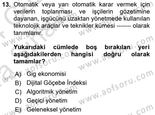 İstihdam ve İşsizlik Dersi 2023 - 2024 Yılı (Vize) Ara Sınav Soruları 13. Soru