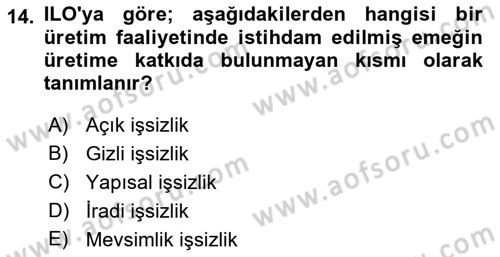 İstihdam ve İşsizlik Dersi Ara Sınavı Deneme Sınav Soruları 14. Soru