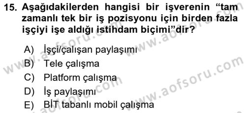 İstihdam ve İşsizlik Dersi Ara Sınavı Deneme Sınav Soruları 15. Soru
