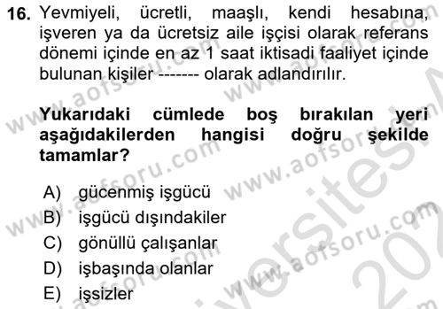 İstihdam ve İşsizlik Dersi Ara Sınavı Deneme Sınav Soruları 16. Soru