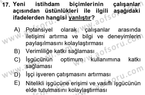 İstihdam ve İşsizlik Dersi Ara Sınavı Deneme Sınav Soruları 17. Soru