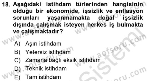 İstihdam ve İşsizlik Dersi Ara Sınavı Deneme Sınav Soruları 18. Soru