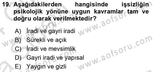İstihdam ve İşsizlik Dersi Ara Sınavı Deneme Sınav Soruları 19. Soru