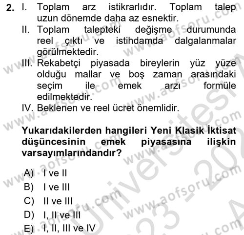 İstihdam ve İşsizlik Dersi 2023 - 2024 Yılı (Vize) Ara Sınav Soruları 2. Soru