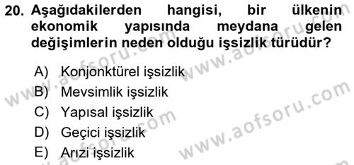İstihdam ve İşsizlik Dersi Ara Sınavı Deneme Sınav Soruları 20. Soru
