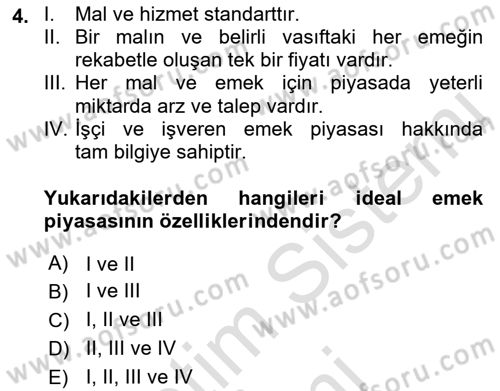 İstihdam ve İşsizlik Dersi Ara Sınavı Deneme Sınav Soruları 4. Soru
