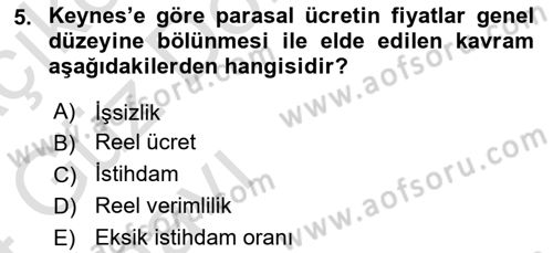 İstihdam ve İşsizlik Dersi Ara Sınavı Deneme Sınav Soruları 5. Soru