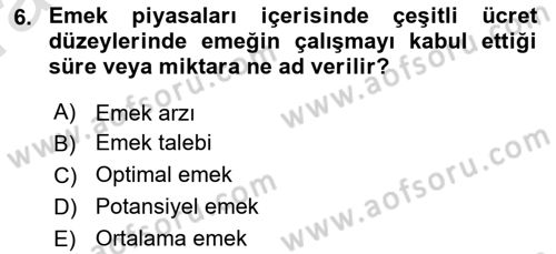 İstihdam ve İşsizlik Dersi Ara Sınavı Deneme Sınav Soruları 6. Soru