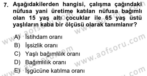 İstihdam ve İşsizlik Dersi 2023 - 2024 Yılı (Vize) Ara Sınav Soruları 7. Soru