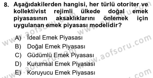 İstihdam ve İşsizlik Dersi 2023 - 2024 Yılı (Vize) Ara Sınav Soruları 8. Soru