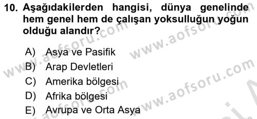 İstihdam ve İşsizlik Dersi 2023 - 2024 Yılı (Final) Dönem Sonu Sınav Soruları 10. Soru