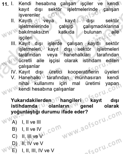 İstihdam ve İşsizlik Dersi 2023 - 2024 Yılı (Final) Dönem Sonu Sınav Soruları 11. Soru