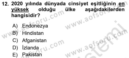 İstihdam ve İşsizlik Dersi 2023 - 2024 Yılı (Final) Dönem Sonu Sınav Soruları 12. Soru