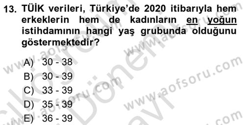 İstihdam ve İşsizlik Dersi 2023 - 2024 Yılı (Final) Dönem Sonu Sınav Soruları 13. Soru
