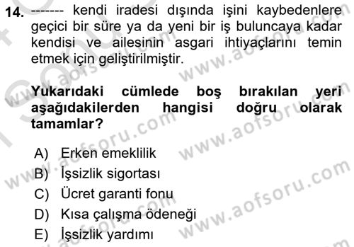 İstihdam ve İşsizlik Dersi 2023 - 2024 Yılı (Final) Dönem Sonu Sınav Soruları 14. Soru