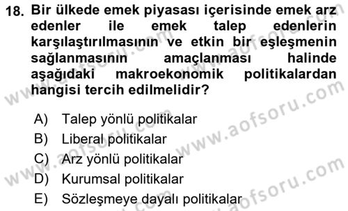 İstihdam ve İşsizlik Dersi 2023 - 2024 Yılı (Final) Dönem Sonu Sınav Soruları 18. Soru