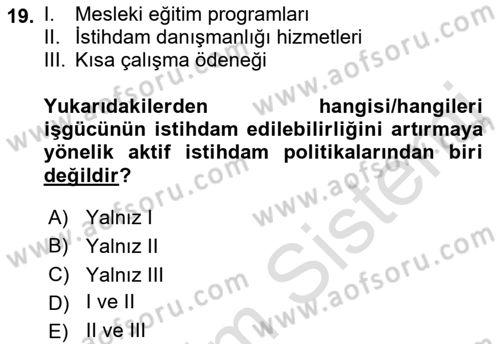 İstihdam ve İşsizlik Dersi 2023 - 2024 Yılı (Final) Dönem Sonu Sınav Soruları 19. Soru