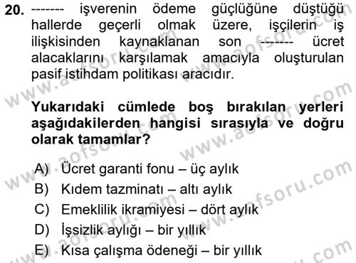İstihdam ve İşsizlik Dersi 2023 - 2024 Yılı (Final) Dönem Sonu Sınav Soruları 20. Soru