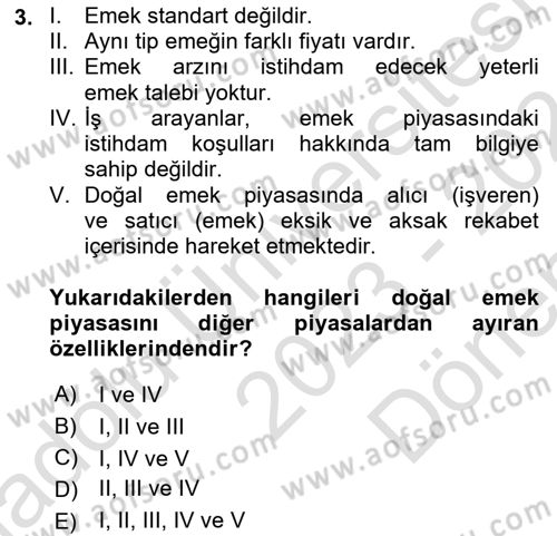İstihdam ve İşsizlik Dersi 2023 - 2024 Yılı (Final) Dönem Sonu Sınav Soruları 3. Soru