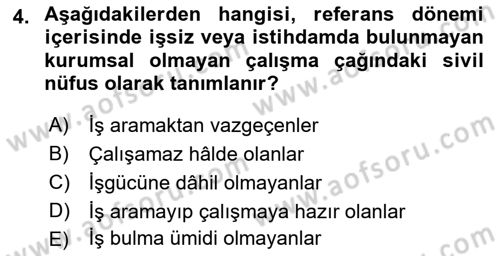 İstihdam ve İşsizlik Dersi 2023 - 2024 Yılı (Final) Dönem Sonu Sınav Soruları 4. Soru
