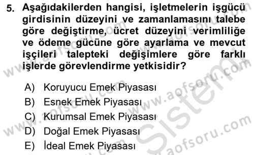 İstihdam ve İşsizlik Dersi 2023 - 2024 Yılı (Final) Dönem Sonu Sınav Soruları 5. Soru