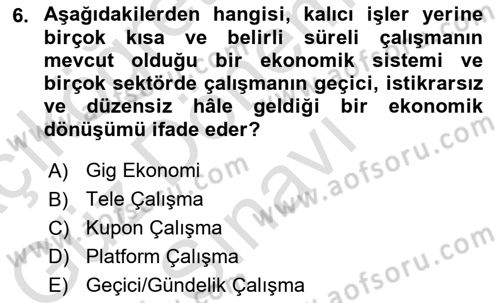 İstihdam ve İşsizlik Dersi 2023 - 2024 Yılı (Final) Dönem Sonu Sınav Soruları 6. Soru