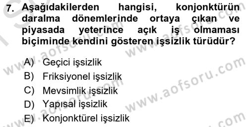 İstihdam ve İşsizlik Dersi 2023 - 2024 Yılı (Final) Dönem Sonu Sınav Soruları 7. Soru
