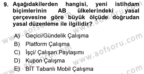 İstihdam ve İşsizlik Dersi 2023 - 2024 Yılı (Final) Dönem Sonu Sınav Soruları 9. Soru