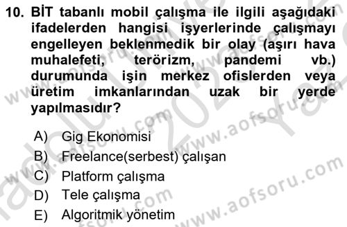 İstihdam ve İşsizlik Dersi 2023 - 2024 Yılı Yaz Okulu Sınav Soruları 10. Soru