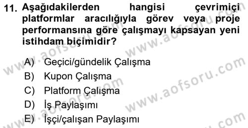 İstihdam ve İşsizlik Dersi 2023 - 2024 Yılı Yaz Okulu Sınav Soruları 11. Soru