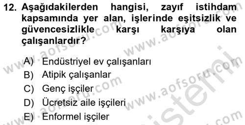 İstihdam ve İşsizlik Dersi 2023 - 2024 Yılı Yaz Okulu Sınav Soruları 12. Soru