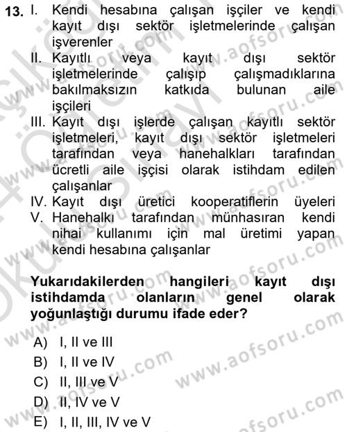 İstihdam ve İşsizlik Dersi 2023 - 2024 Yılı Yaz Okulu Sınav Soruları 13. Soru