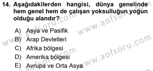 İstihdam ve İşsizlik Dersi 2023 - 2024 Yılı Yaz Okulu Sınav Soruları 14. Soru