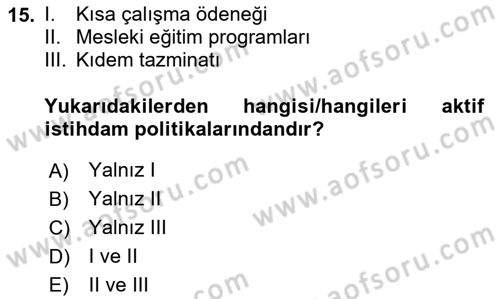 İstihdam ve İşsizlik Dersi 2023 - 2024 Yılı Yaz Okulu Sınav Soruları 15. Soru