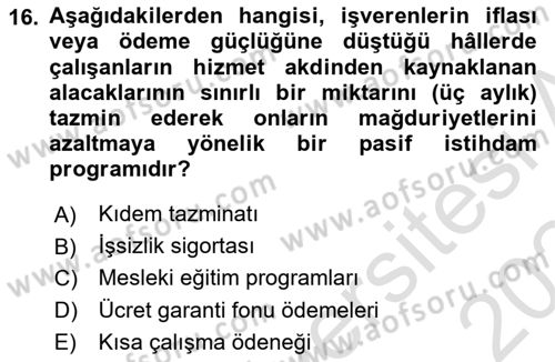 İstihdam ve İşsizlik Dersi 2023 - 2024 Yılı Yaz Okulu Sınav Soruları 16. Soru