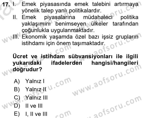 İstihdam ve İşsizlik Dersi 2023 - 2024 Yılı Yaz Okulu Sınav Soruları 17. Soru