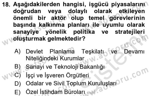 İstihdam ve İşsizlik Dersi 2023 - 2024 Yılı Yaz Okulu Sınav Soruları 18. Soru