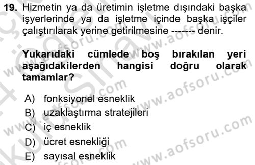 İstihdam ve İşsizlik Dersi 2023 - 2024 Yılı Yaz Okulu Sınav Soruları 19. Soru