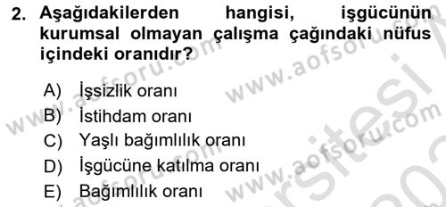 İstihdam ve İşsizlik Dersi 2023 - 2024 Yılı Yaz Okulu Sınav Soruları 2. Soru
