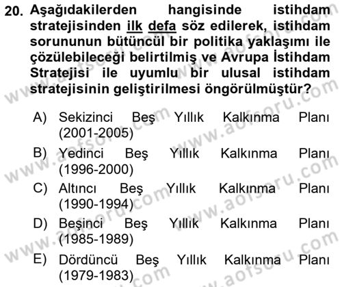 İstihdam ve İşsizlik Dersi 2023 - 2024 Yılı Yaz Okulu Sınav Soruları 20. Soru