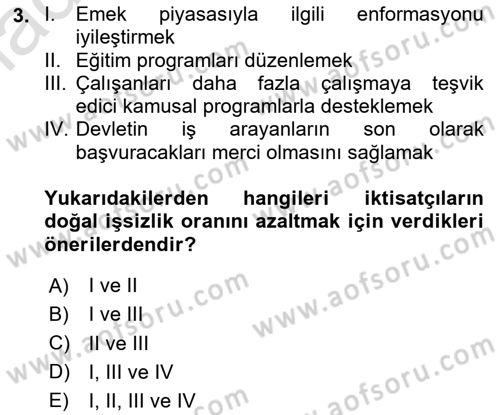 İstihdam ve İşsizlik Dersi 2023 - 2024 Yılı Yaz Okulu Sınav Soruları 3. Soru